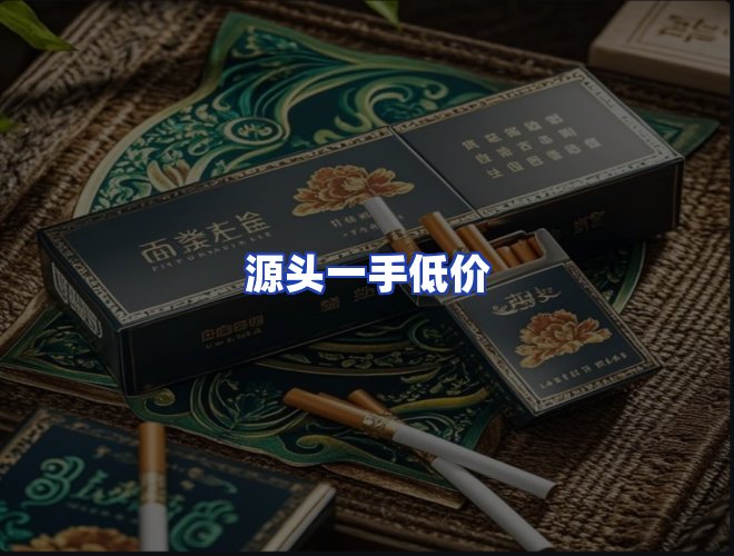 专业团队